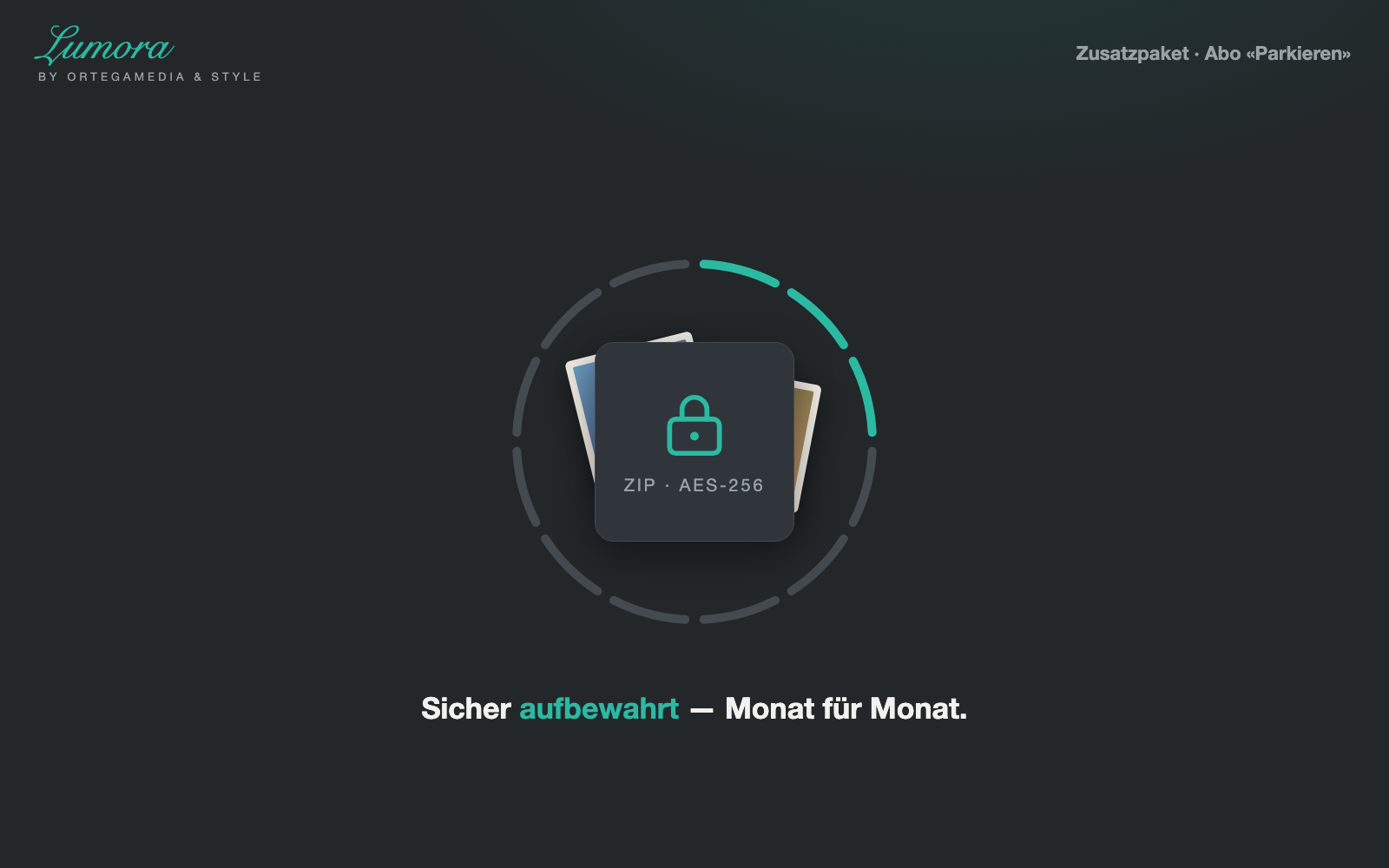 Abo «Parkieren» — 1 Monat (je angefangene 100 GB)